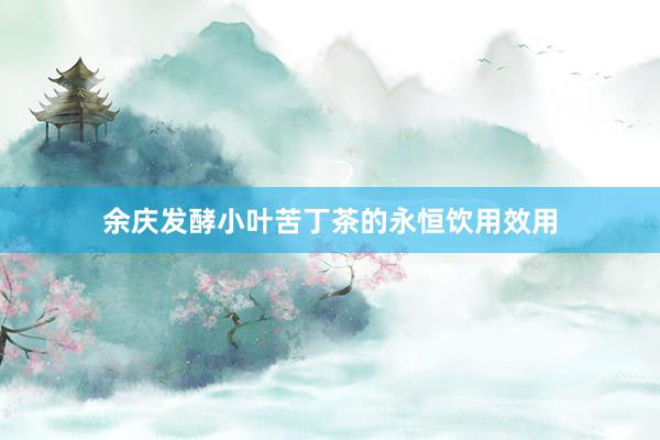 余庆发酵小叶苦丁茶的永恒饮用效用