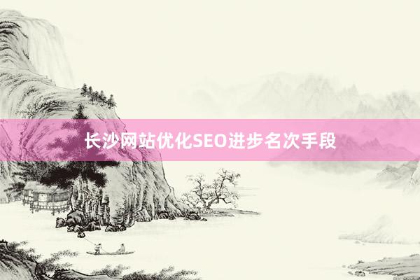 长沙网站优化SEO进步名次手段