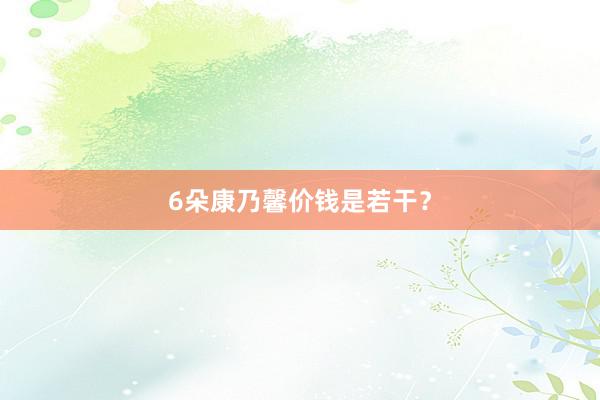 6朵康乃馨价钱是若干？